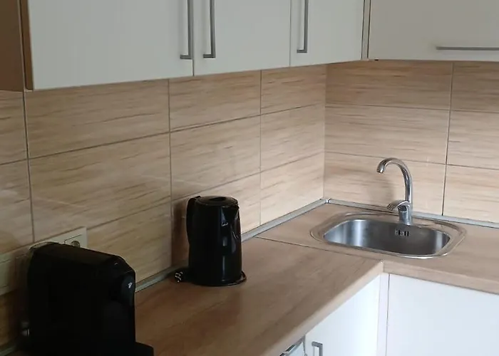 Zalinieku 40b 里加