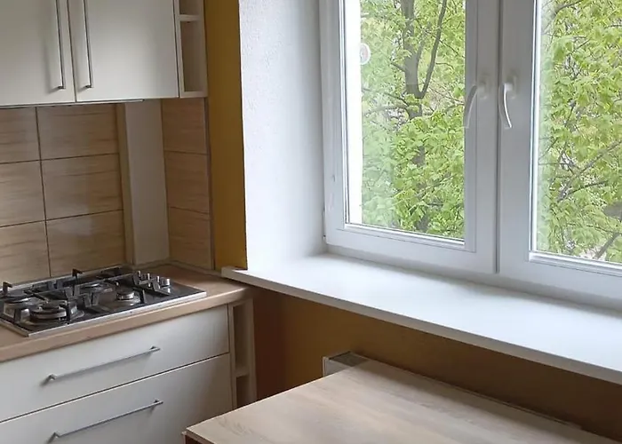 Zalinieku 40b 公寓 *