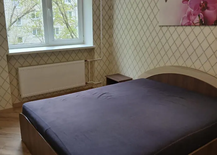 Zalinieku 40b Daire *